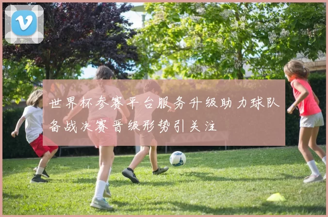 世界杯参赛平台服务升级助力球队备战决赛晋级形势引关注